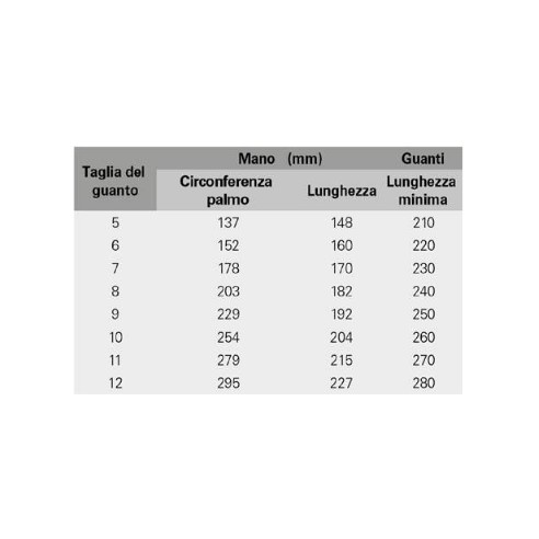 Windowz Guanti Invernali MaxiDry® Zero ™