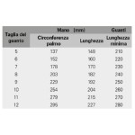 Windowz MaxiDry® Zero™ Winter Gloves