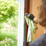 Unger Panno in Microfibra Green Label